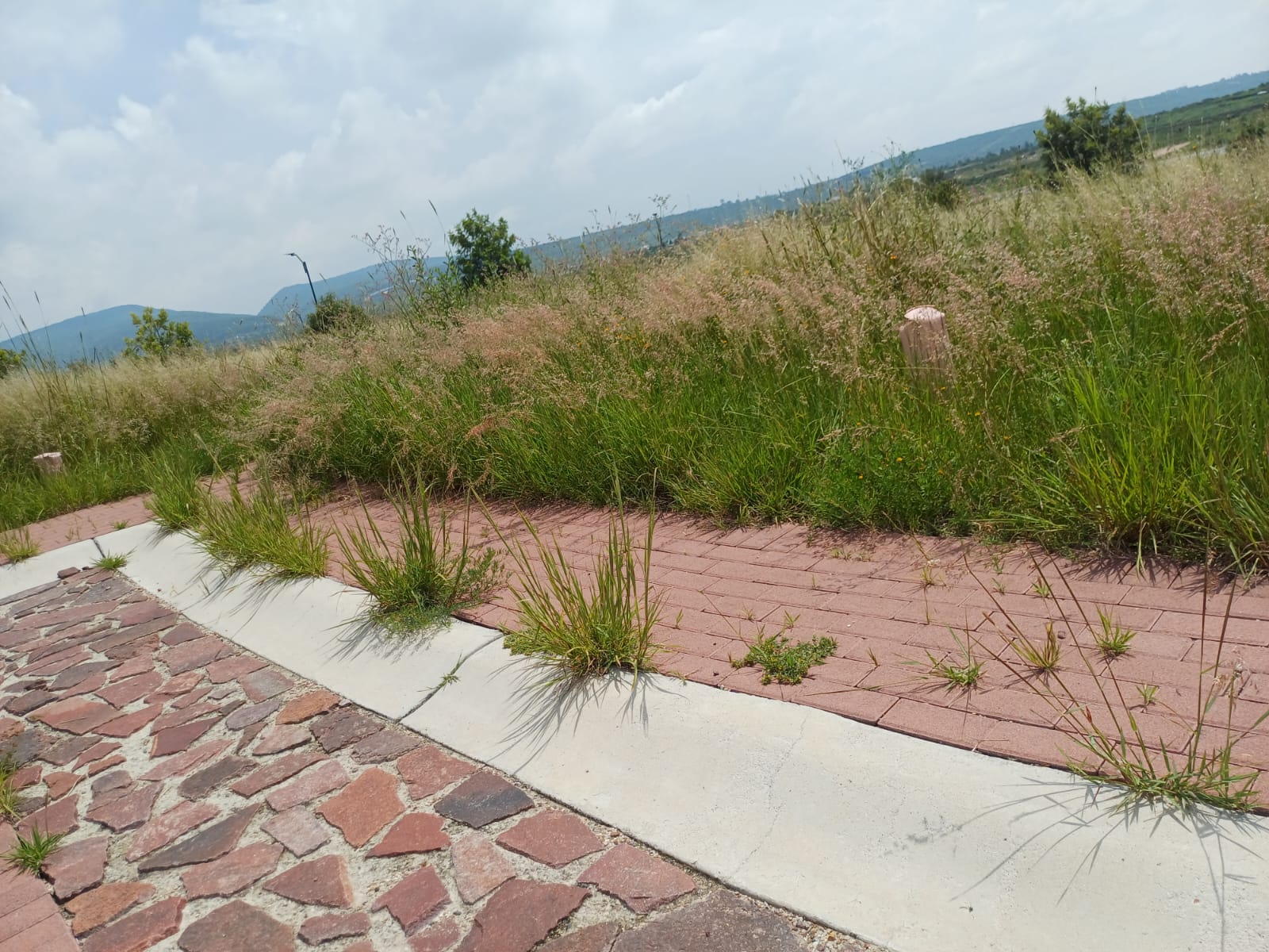 Terren en venta - Ciudad Maderas León